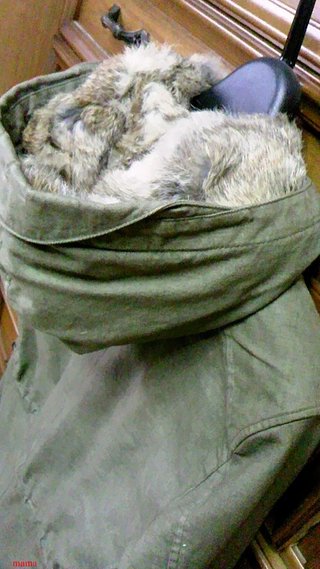 このｺｰﾄ教えてください。持ってる方いますか？