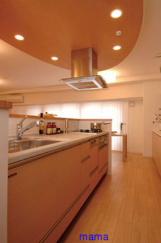 【便乗】お宅のキッチンorキッチン収納見せて下さい