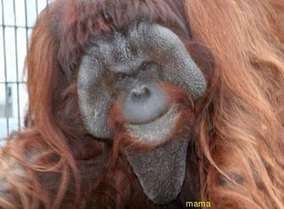 松嶋菜々子に悪評！