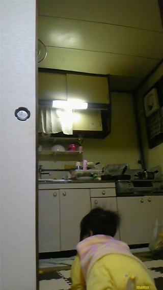 【狭】【汚】写ﾍﾟﾀ求む【古】【賃貸】