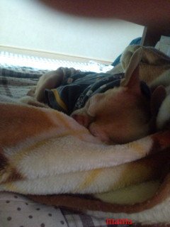 今お酒飲んでる人～