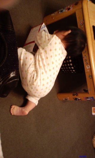 赤ちゃんがみたい