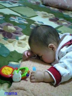 赤ちゃんがみたい