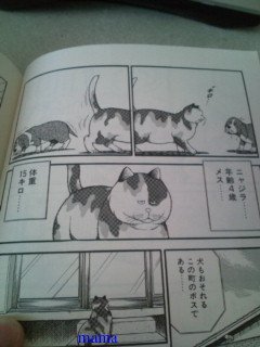 昔に借りたビデオで、マイケル？