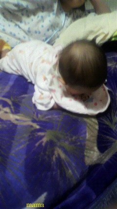 赤ちゃんがみたい