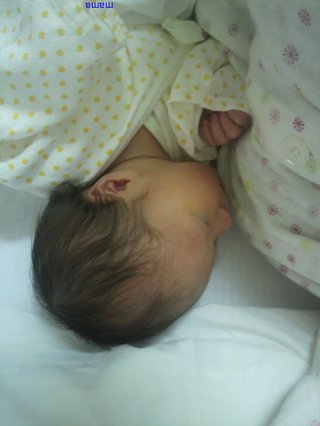 赤ちゃんがみたい