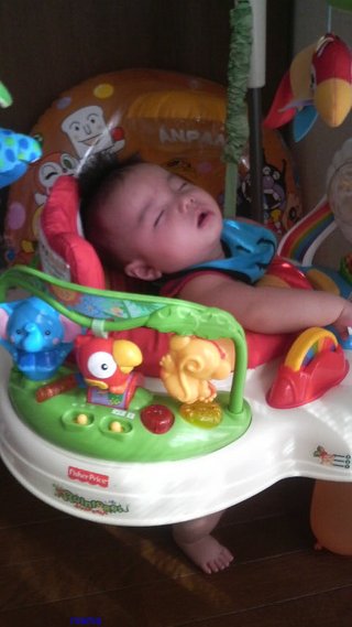 赤ちゃんがみたい