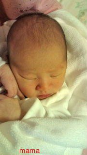 赤ちゃんがみたい