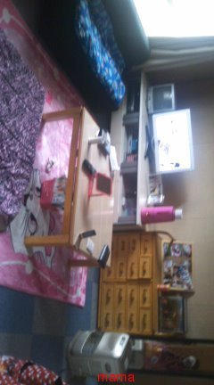 【狭】【汚】写ﾍﾟﾀ求む【古】【賃貸】