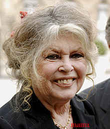 ブリジットバルドーＢＢ