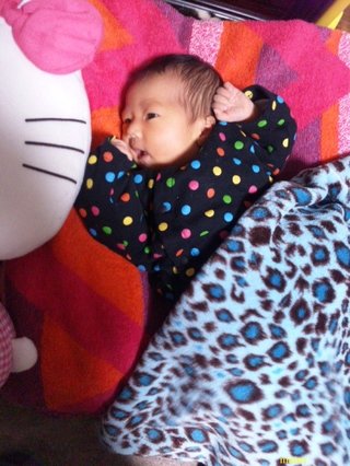 赤ちゃんがみたい