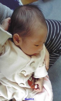 赤ちゃんがみたい