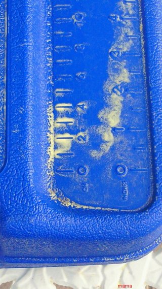 【便乗】茨城県【総合】