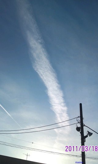 埼玉県【総合】