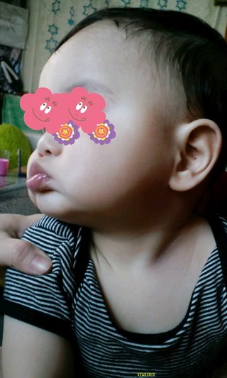 赤ちゃんがみたい