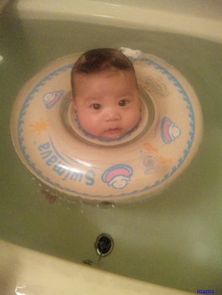 赤ちゃんがみたい