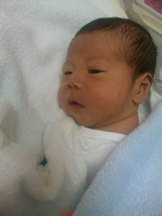 赤ちゃんがみたい