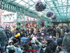 【地震】地震？と思ったらここ【総合トピ】