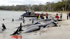 今夜関東で大地震？