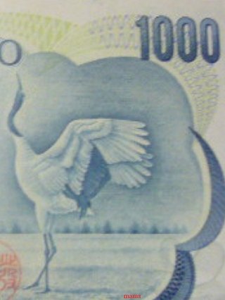 多田あさみ「大人の千羽鶴始めました」