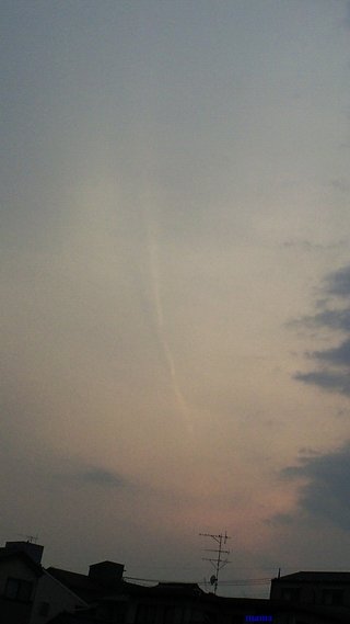 埼玉県【総合】