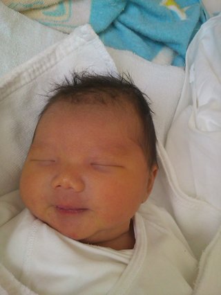 赤ちゃんがみたい