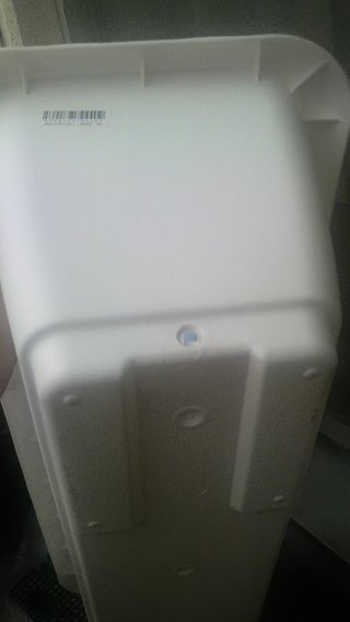 60cmのプランターにはアサガオ