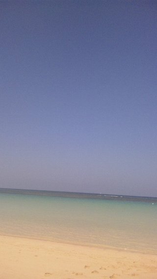 今お酒飲んでる人～