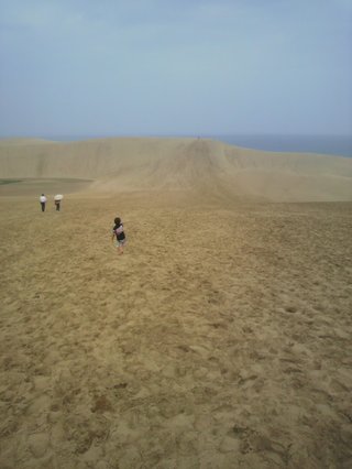 鳥取砂丘に人骨４体発見