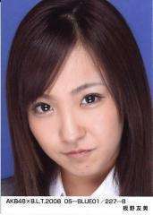 板野友美【総合】