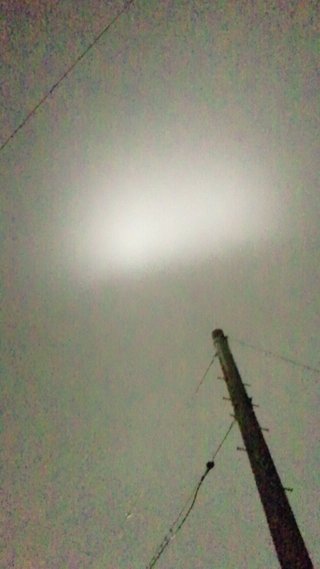 静岡県【総合】