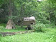 アンビリバボー総トピ