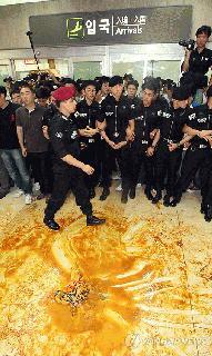 竹島って日本の領土でしょ？