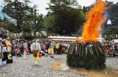 被災松、千葉の成田山で燃やすことに