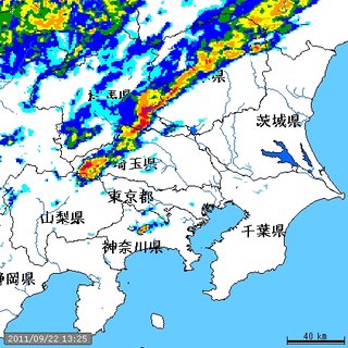 埼玉県【総合】