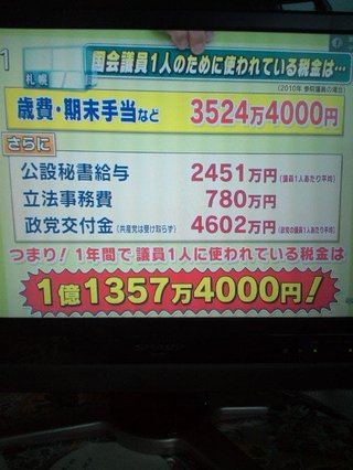 国会議員ってなんなの？