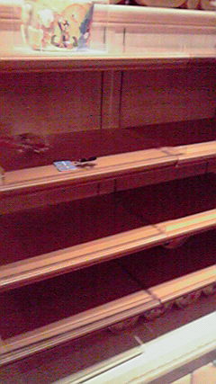 ﾃﾞｨｽﾞﾆｰﾗﾝﾄﾞ＆ｼｰ【写真】