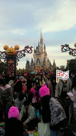 ﾃﾞｨｽﾞﾆｰﾗﾝﾄﾞ＆ｼｰ【写真】