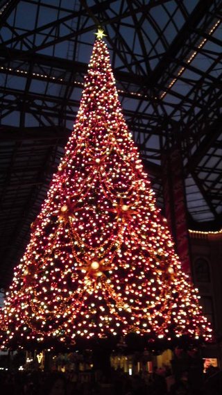 ﾃﾞｨｽﾞﾆｰﾗﾝﾄﾞ＆ｼｰ【写真】