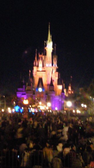 ﾃﾞｨｽﾞﾆｰﾗﾝﾄﾞ＆ｼｰ【写真】