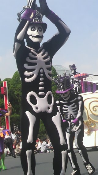 ﾃﾞｨｽﾞﾆｰﾗﾝﾄﾞ＆ｼｰ【写真】