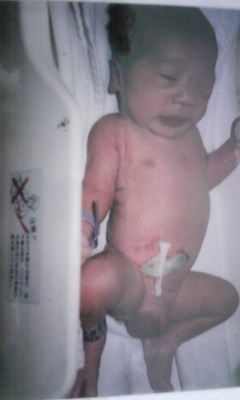 赤ちゃんがみたい