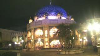 ﾃﾞｨｽﾞﾆｰﾗﾝﾄﾞ＆ｼｰ【写真】