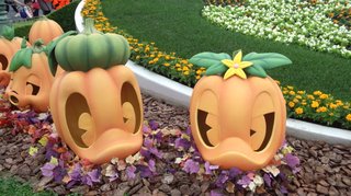 ﾃﾞｨｽﾞﾆｰﾗﾝﾄﾞ＆ｼｰ【写真】