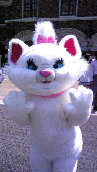 ﾃﾞｨｽﾞﾆｰﾗﾝﾄﾞ＆ｼｰ【写真】