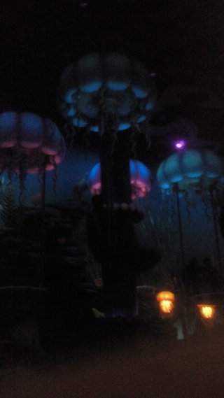 ﾃﾞｨｽﾞﾆｰﾗﾝﾄﾞ＆ｼｰ【写真】