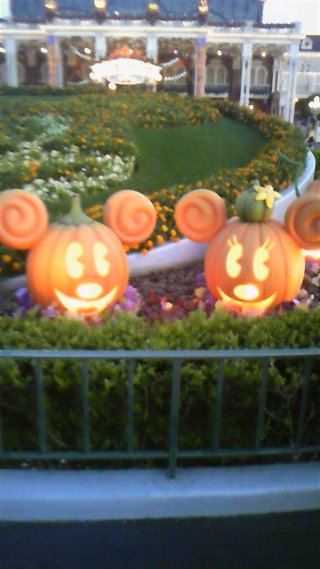 ﾃﾞｨｽﾞﾆｰﾗﾝﾄﾞ＆ｼｰ【写真】