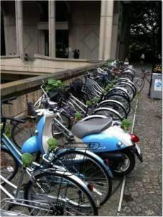 自転車のサドルにブロッコリー!!