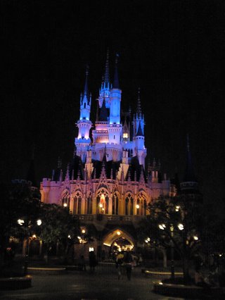 ﾃﾞｨｽﾞﾆｰﾗﾝﾄﾞ＆ｼｰ【写真】