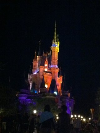 ﾃﾞｨｽﾞﾆｰﾗﾝﾄﾞ＆ｼｰ【写真】